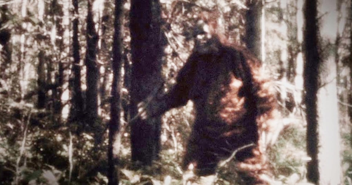 the infamous sasquatch in a new three-part original documentary series appr...